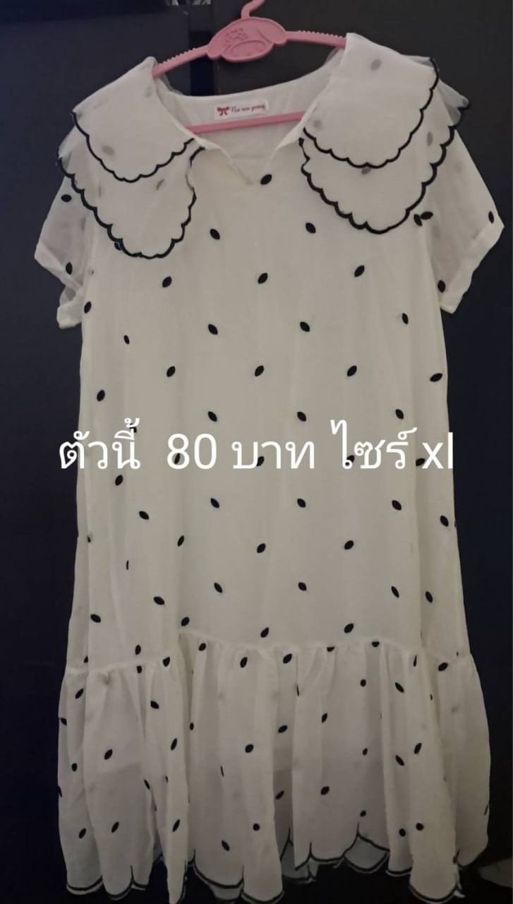 R10160